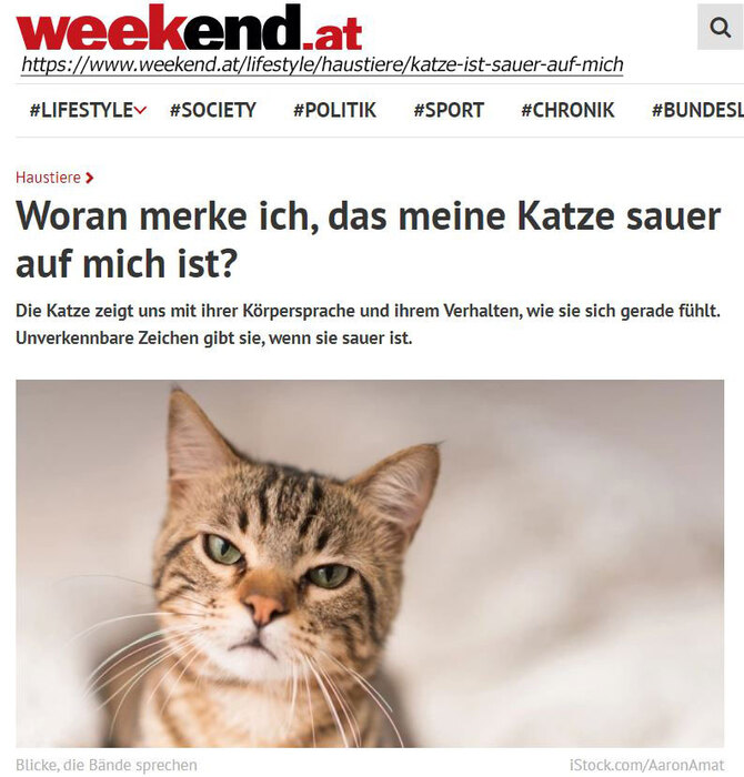 Woran erkenne ich das meine Katze sauer auf mich ist? Trubka GmbH